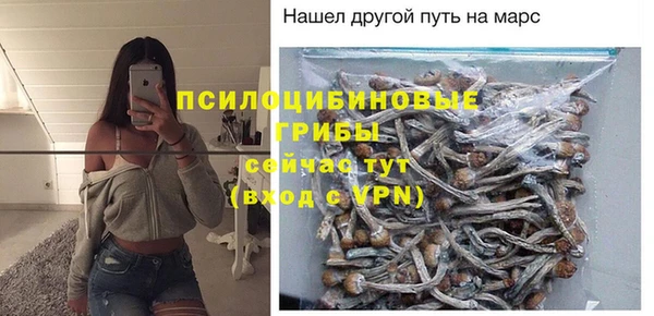 молекула духа Покровск