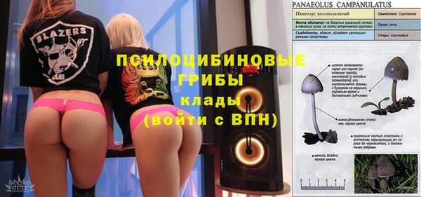 молекула духа Покровск